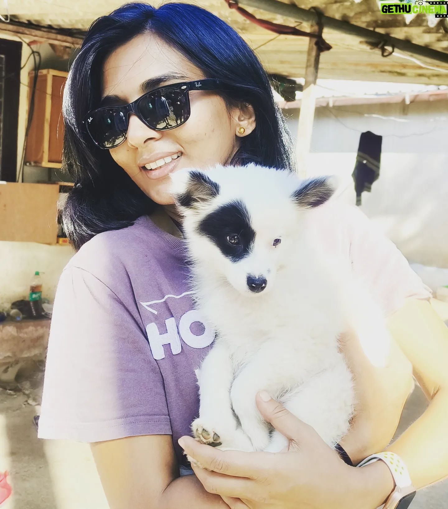 Sindhu Lokanath Instagram - Black eyed pup🐶