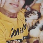 Sindhu Lokanath Instagram - Lazy Sundays be like...😴 . #lazyday #catsleep #catsofinstagram #sunday #feelinglazy #petlovers #catsday