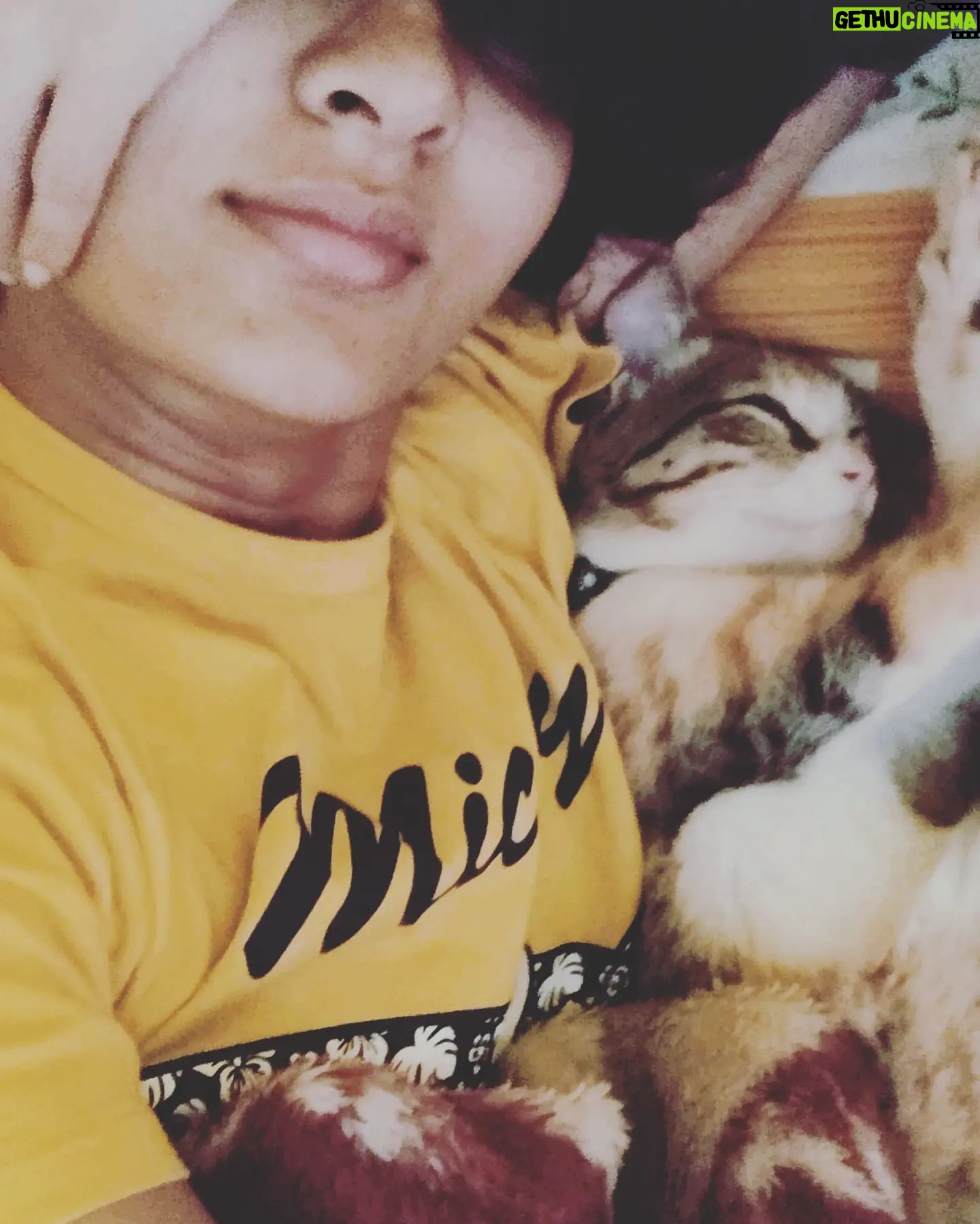 Sindhu Lokanath Instagram - Lazy Sundays be like...😴 . #lazyday #catsleep #catsofinstagram #sunday #feelinglazy #petlovers #catsday