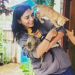 Sindhu Lokanath Instagram - Catattaaacccck😼 . . #catsofinstagram #kitten #pets #loveforanimals #animallover #live #love #smile #catlover