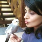 Sindhu Lokanath Instagram – Happy Sunday🌹🦜
.
#cocktaeil #birdsofinstagram #cutebirds #talkingparrots