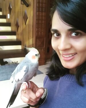 Sindhu Lokanath Instagram - Happy Sunday🌹🦜
.
#cocktaeil #birdsofinstagram #cutebirds #talkingparrots