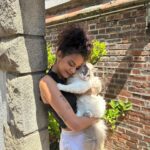 Sindy Michelle Claudia Auvity Instagram - Vous connaissez mon amour pour les animaux qui n'est plus à prouver ahaha ♥️ 3 ans que mes boules de poil me rendent heureuse et leur cause me tient particulièrement à cœur. @garnierfr s'engage pour la cause animale avec cette box de produits qui sont tous approuvés par Cruelty Free International. Non aux tests sur les animaux, oui à la Green beauty ♡ #garnierfr #crueltyfreeinternational #skincare #haircare
