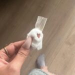 Sindy Michelle Claudia Auvity Instagram - Je t’attendais cet été, en me disant que c’était un beau cadeau de fin de vingtaine, en imaginant déjà les couleurs de ta chambre et toutes les compotes que j’allais pouvoir te concocter. T’as redonné un souffle à ma vie et en quelque jours j’ai énormément grandi, murit et appris. J’ai découvert une peine qui coupe le souffle et l’appétit, mais qui renforce énormément de choses. J’ai senti notre connexion, ta présence et ton départ. Mais surtout ta force parce que je sais que t’as essayé, c’est dans notre sang de s’accrocher, on est comme ça nous. T’as encore plus ouvert mon coeur de femme, merci d’être passé 🤍