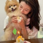 Sisley Choi Instagram - 雙喜臨門🧧人日初七 油生八歲生日！ 今年仲唔發大財?😹🤝🏼 祝各位 龍精虎猛 平安 每事順♥️ #人日快樂 #油嘜菜