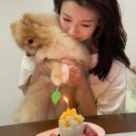 Sisley Choi Instagram - 雙喜臨門🧧人日初七 油生八歲生日！ 今年仲唔發大財?😹🤝🏼 祝各位 龍精虎猛 平安 每事順♥️ #人日快樂 #油嘜菜