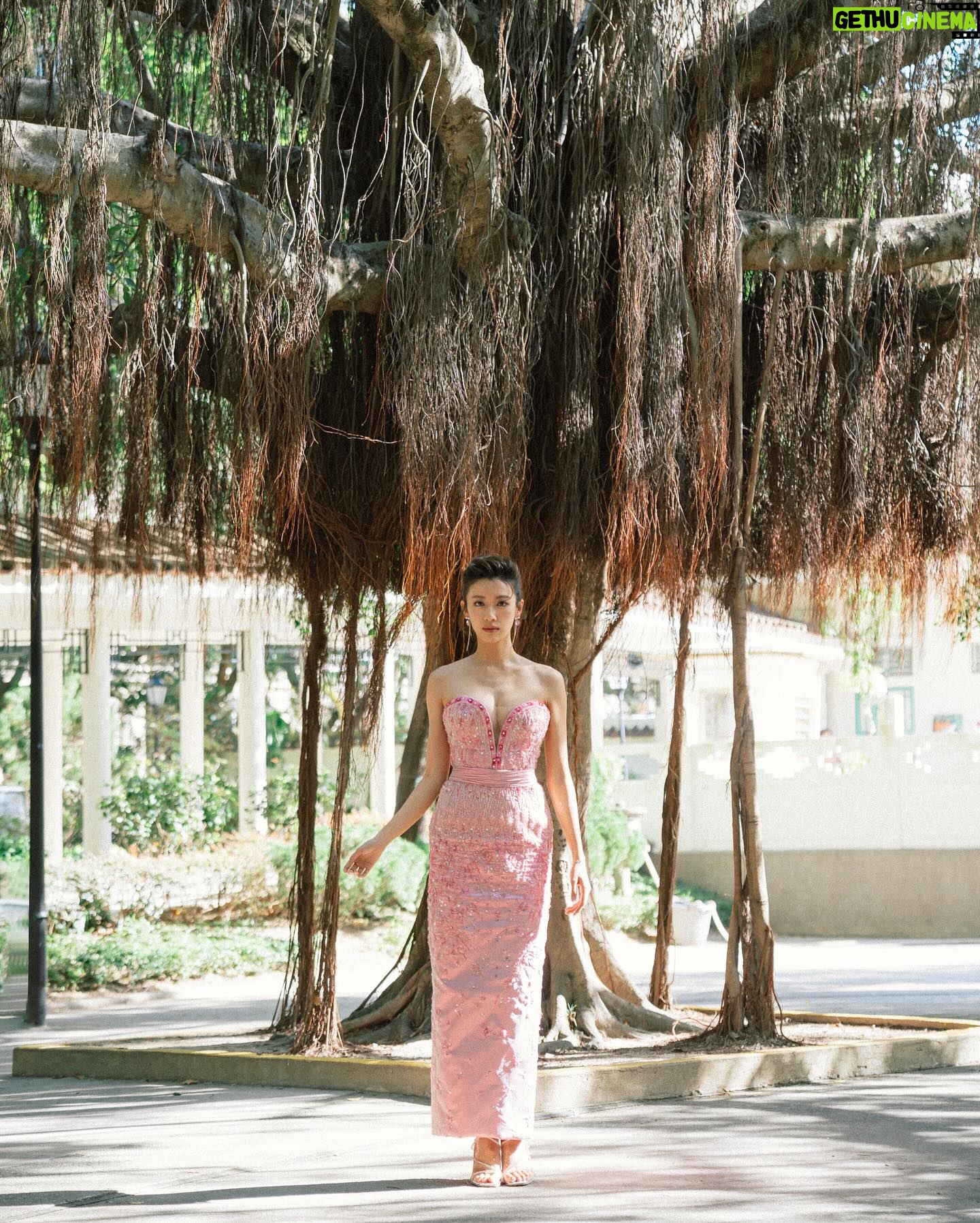 Sisley Choi Instagram - 🌸 緣起,我在人群中看見你。 緣滅,我把你歸還於人海。