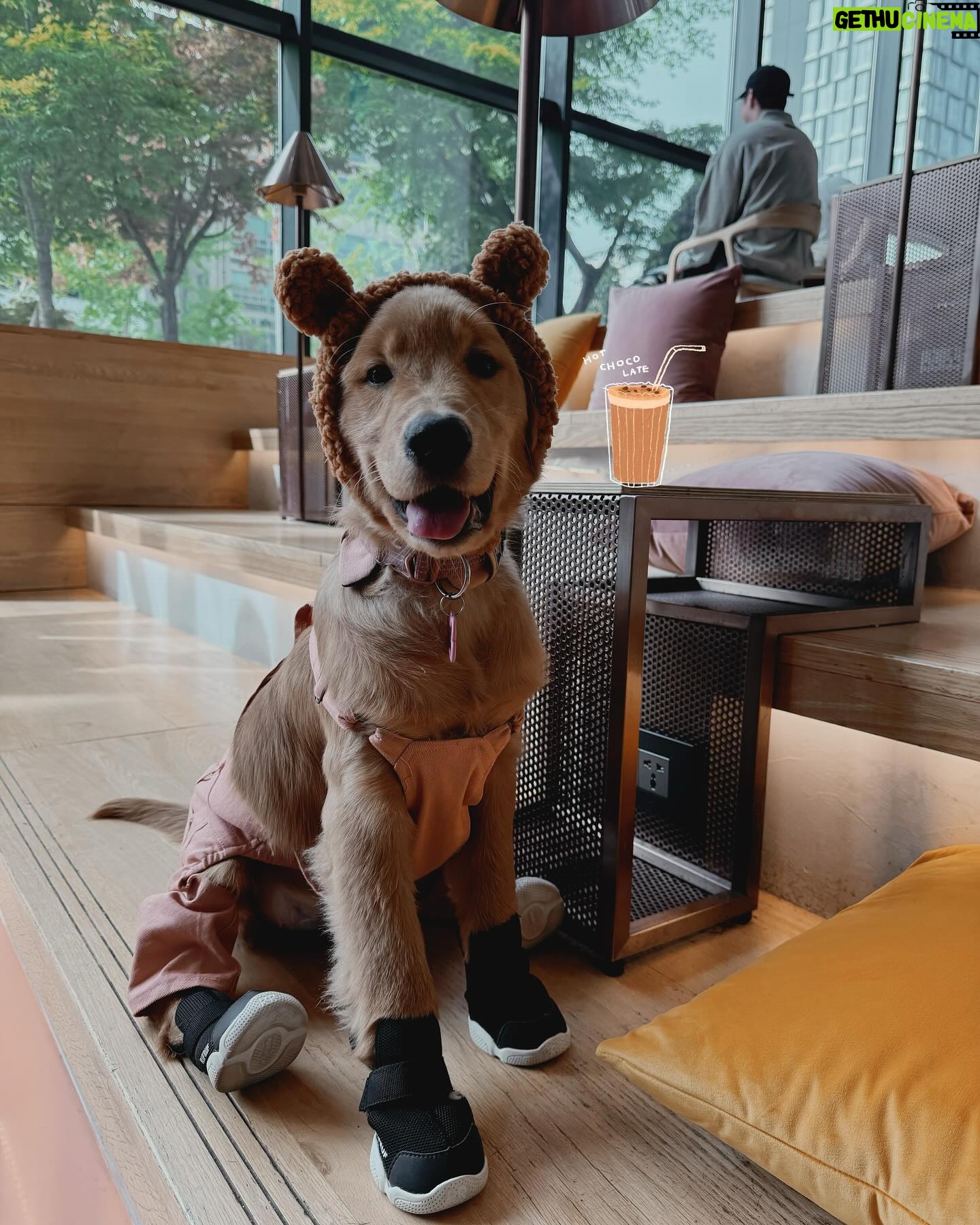 Sita Chutipaworakarn - 3 Likes - Coco in Korea ąøąø³ą¹ąøąøąøµą¹ąø«ą¹ą¹ąøą¹ąøąøµą¹ąø«ąø”ąøą¹ąø²!