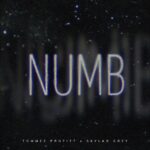 Skylar Grey Instagram - #NUMB w/ @TommeeProfitt is out! Stream it now… link in bio. After having a year or so of writers block it felt like the right time to drop a cover of my favorite @linkinpark song.