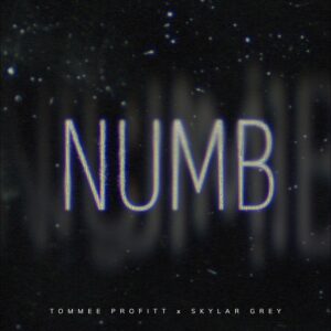 Skylar Grey Instagram - #NUMB w/ @TommeeProfitt is out! Stream it now… link in bio. After having a year or so of writers block it felt like the right time to drop a cover of my favorite @linkinpark song.