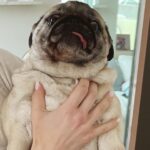 Skyler Samuels Instagram - my niece is an actual potato 🥔 (swipe for a little 👀)