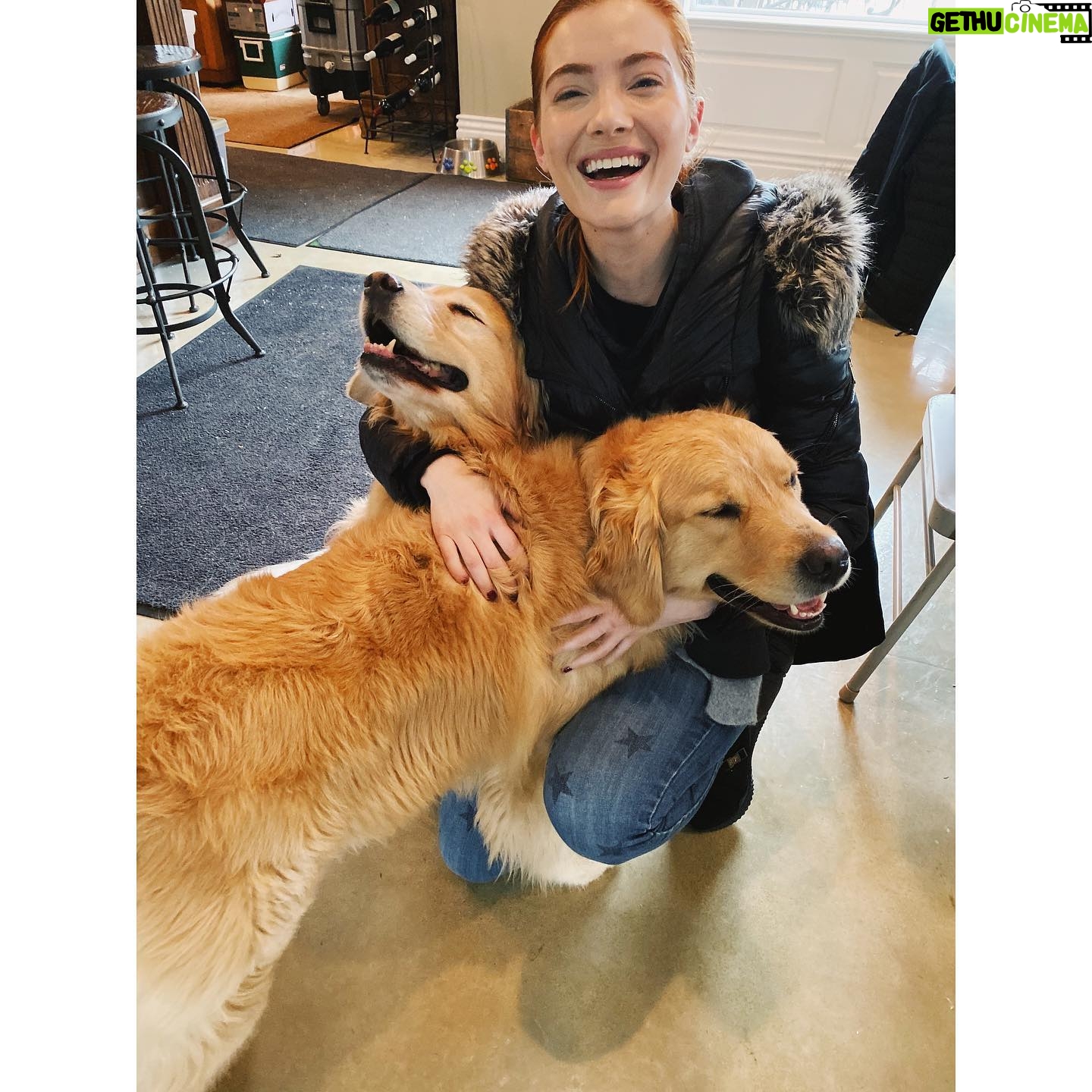 Skyler Samuels Instagram - a moment of paws to start my workday ππΆπΆ