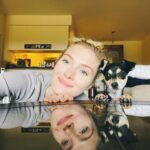 Skyler Samuels Instagram - new foster friend lilou 💛 @tobiessmalldogrescue