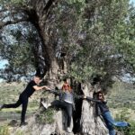 Smaragda Karydi Instagram - Χρόνια πολλά σε όλους 🌻 Άνοιξη Ανάσταση Ανάταση και Φως μέσα μας και γύρω μας