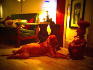 Smita Nair Jain Instagram - Lets Talk !! #cute #funpetloveclub #dogscorner #dogdailyfeaturesss #inspiredbypets #dachshund #beggintime #pet #buzzfeed #petbox #dog #dogsandpals #mydogiscutest #petfancy #dogs #instadog #petsagram #doglover #dogoftheday #dogsitting #ilovemydog #dogstagram #lovedogs #lovepuppies #pets #puppy #adorable #puppies #mypets #mydog