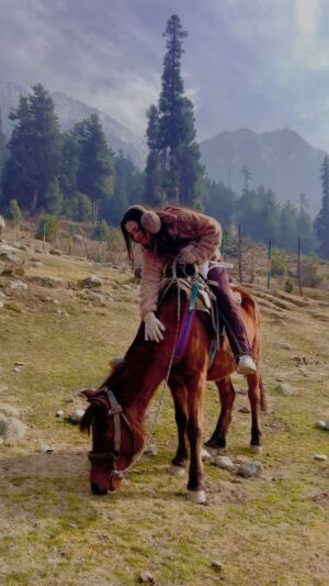 Sneha Jain Instagram - 🐎❤️
.
.
.
#snehajain #reels #throwback #vacation #kashmirdairies #explore #explorepage #love #animalgirl #beauty