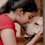 Snisha Chandran Instagram - My BaBy turn 3🤍 HappY Birthdy my World❤️😍 I love uu soo muchhh😘😘😘 #doglover #petlovers #bruno #myworld #myeverything #mylove #iloveyou #like #instalike #instagram #instagood #likesforlike #instadaily #mylife #pictures #love #loveislove #loveislove #picoftheday #pic