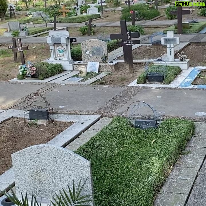 Sofía Gala Castiglione Instagram - Me gustan los cementerios, me siento comoda entre los muertos, bastante mas que entre los vivos hoy pude transitar uno de los más increíbles de Bs As de una manera que jamas pense, gracias @fernandorubioprojects por invitarme a participar de esta locurita LO QUE NOS QUEDA POR CONTAR de Fernando Rubio con Mirta Busnelli, Sofía Gala Castiglione, Andrea Nussembaum, Luis Ziembrowski, Julián Calviño y Carlos Portaluppi. Una producción de @elsanmartinctba @ziembro @socastiglione @andreanussembaum @carportaluppi @julian.calvino @mirtabusnelli @diegopoleri @zuluciones @temporadadebalas @fernando_zuber @ricardesgabriela @silvinasilber @jonathanzak @maxseuge