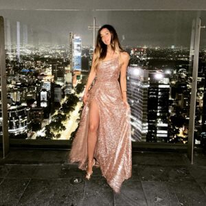 Sofía Sisniega Instagram - ✨ Last Night ✨ @voguemexico @sofitelmexicocity #CandleRitualAtSofitel 

Wearing @mariandreegaitan 
@steponfashion @pureandb