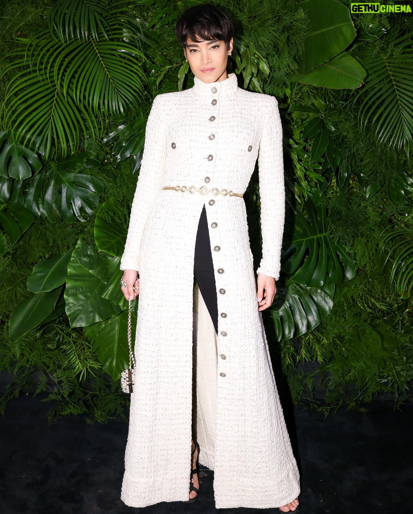 Sofia Boutella Instagram - CHANEL × FINCH The Night before @theacademy 💫 Pre-Oscars Awards Dinner @chanelofficial @charlespfinch #FinchandPartners - @welovecoco ✨ @andylecompte ✨ @katesynnottmakeup ✨ @CHANELOFFICIAL #CHANELinCinema
