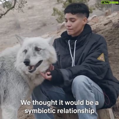 Sofia Boutella Instagram - 🩶🐺🩶 When we wrapped, Zack and Debbie gave me the best gift by taking me see my favorite animal for the first time ever and introducing me to @apexprotectionproject and the incredible work they have been doing to protect Wolves.