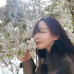 Sofiee Ng Hoi-yan Instagram - Spring in Seoul 🧚‍♀️