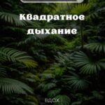 Sofya Kashtanova Instagram - Техника для снятия стресса и тревоги👇🏻 - глубоко вдохните - задержите дыхание - выдохните - задержите дыхание И повторите такой квадрат раз 5-7. Это поможет вам успокоиться, расслабиться и не словить панику в сложных ситуациях❤️