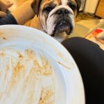 Sohla El-Waylly Instagram - My entire camera roll is all shells and baby. So nothing new.