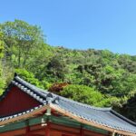 Sohn Su-hyun