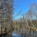 Sointu Borg Instagram - Äänikirjat, jotka luukutin maaliskuussa ja voin suositella. 👇🏻 ✔️ Kikka - Kai Kortelainen ✔️ Saatan olla väärässä - Björn Natthiko Lindeblad ✔️ Onneksi äitini kuoli - Jennette McCurdy ✔️ Tyttö joka en - Laura Juntunen ✔️ Maailmanhistorian pahimmat paskiaiset - James Felton ✔️ Valkea voima: Huumeäidin tarina - Karin Mäkelä Alan jakaan näitä kuukausittain. Jos muistan. Tänään aurinko ja kävely teki onnelliseks. Kevät on hieno asia. 🙏🏻
