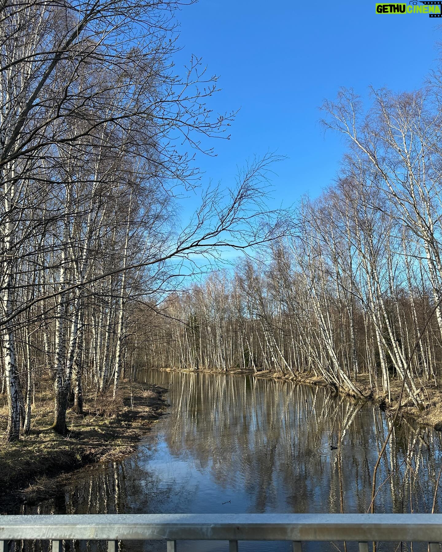 Sointu Borg Instagram - Äänikirjat, jotka luukutin maaliskuussa ja voin suositella. 👇🏻 ✔️ Kikka - Kai Kortelainen ✔️ Saatan olla väärässä - Björn Natthiko Lindeblad ✔️ Onneksi äitini kuoli - Jennette McCurdy ✔️ Tyttö joka en - Laura Juntunen ✔️ Maailmanhistorian pahimmat paskiaiset - James Felton ✔️ Valkea voima: Huumeäidin tarina - Karin Mäkelä Alan jakaan näitä kuukausittain. Jos muistan. Tänään aurinko ja kävely teki onnelliseks. Kevät on hieno asia. 🙏🏻