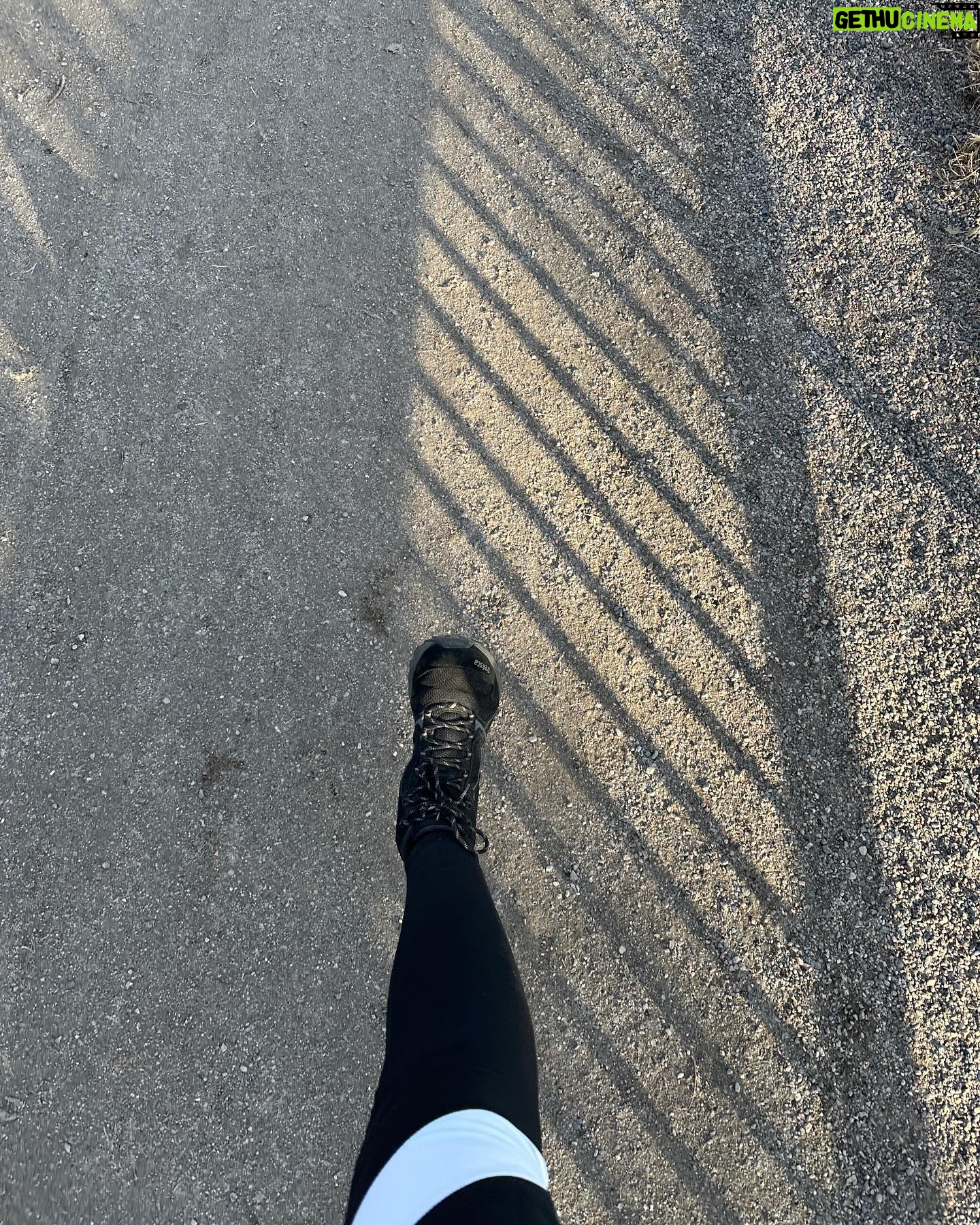 Sointu Borg Instagram - Photo dump viimeseltä seittemältä vuorokaudelta. Intensiivinen, ihana ja jännittävä kevät.