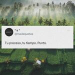 Sol Rodríguez Instagram – Haces sacrificios y más sacrificios y a veces no ves resultados.  Y Se vale llorar, se vale sentirse derrotada porq todo forma parte de tu historia. Así es la vida, hay que confiar que Dios te guía en el mejor camino, sólo te queda tener fé, seguir rezando y vivir tu vida estando presente con amor hacia ti y los demás. Estoy aprendiendo q los momentos bajos son necesarios para que cuando vengan los altos los aprecies aún más, y no te olvides de lo q te costó llegar ahí. Sin oscuridad no hay luz 🪐💫🌒