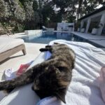 Soledad O'Brien Instagram - Valentina. 16 and living her best life: