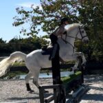 Soledad O'Brien Instagram - Love this dude. Excited to go to my first show with him soon!! @brigadoonshowstables @lainiewimberly @lauriestevens1010 @sofraymond @cecraymond