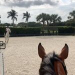Soledad O'Brien Instagram - Jumped a 2-6 course today (this jump is 2-8). Not a big deal for many riders but 2-6 was my goal last year... then I broke my foot... then I had months of rehab. It's nice to actually see progress and hit one's goals, even if not exactly on the original timeline. Big thanks of course to @lainiewimberly @brigadoonshowstables (who's also filling in for my official photogs @sofraymond and @cecraymond who are off doing other things! And always to @lauriestevens1010 who has created the nicest environment with the kindest folks ❤️. And @kimbondy who doesn't really care for horses (no--she likes cows) but watches all my videos anyway ❤️