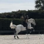 Soledad O'Brien Instagram - Jumping Dakota without stirrups! Which goes against everything I believe in LOL. He was perfect. I was anxious. We got it done (and stayed on!) just gonna @ anyone who might care! @sofraymond @cecraymond @carly.brewster.eq @brigadoonshowstables @lainiewimberly @lauriestevens1010 🔥🔥🔥