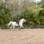 Soledad O'Brien Instagram - Dakota practicing at @WEF today! (Dakota doing/me practicing? lol). He's amazing. At the end he was pretty sure we could win the jump off! Hahaha. @brigadoonshowstables @lainiewimberly @sofraymond @cecraymond