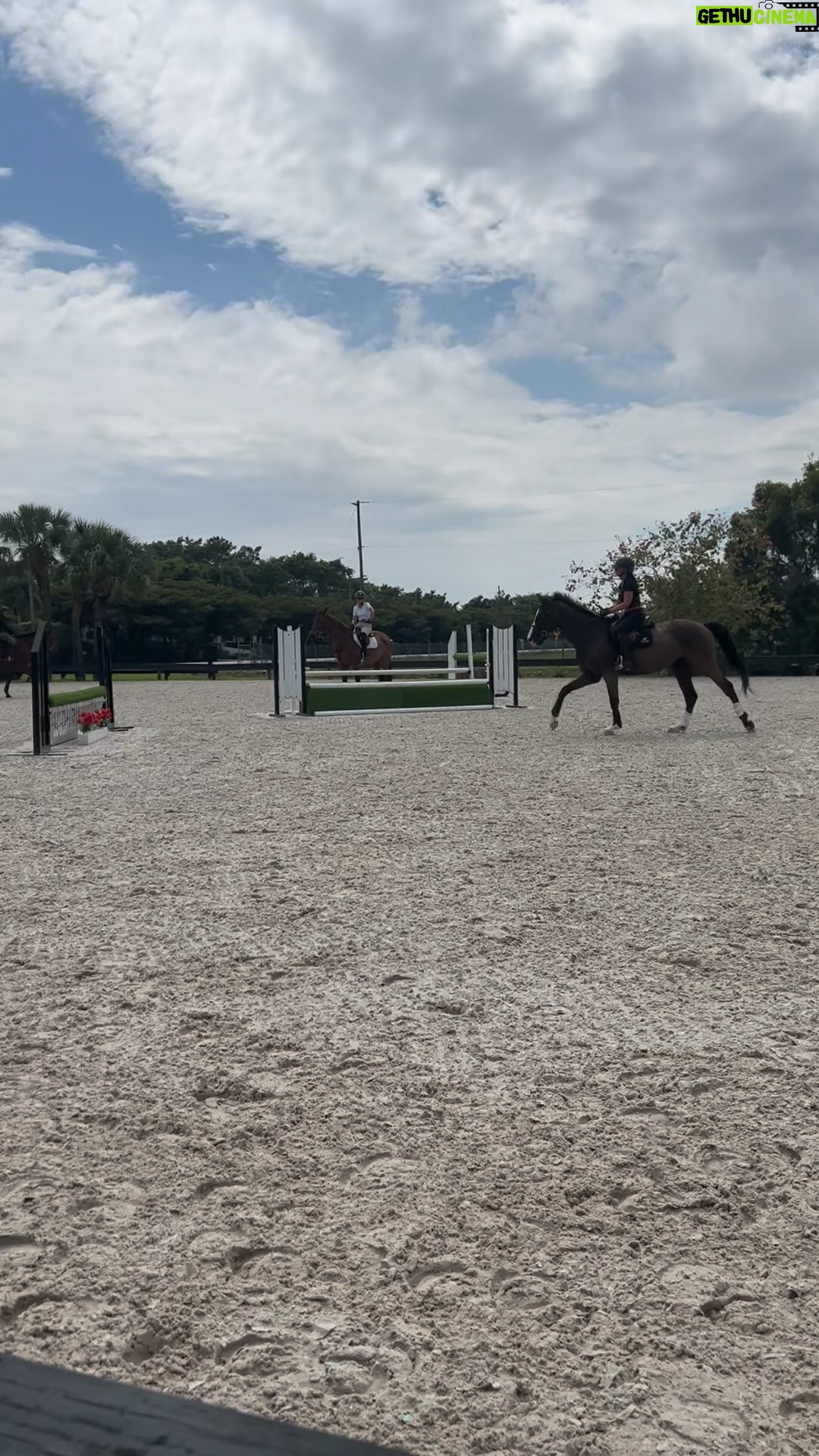 Soledad O'Brien Instagram - Rubie (yes I know who is who) being perfect today. 🔥🔥. @lainiewimberly @brigadoonshowstables @sofraymond @cecraymond