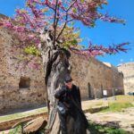 Soledad Silveyra Instagram - Perdí mi teléfono, pero lo recuperé🙌 Les comparto algunas fotos de mis primeros días en Italia 🇮🇹. Tutto questo in tre giorni: Nuoro, Alghero, Nuraghe, Bosa, Cala Gonone y San Pantaleo en Cerdeña. Beso a tutti😘