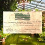 Soledad Silveyra Instagram - Les comparto algunas fotos de Ischia 🇮🇹 Scogli degli Innamorati / Baia de Citara / Giardini La Mortella, creado por Susana Walton, una escritora argentina. Los quiero❤️