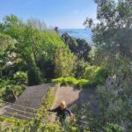 Soledad Silveyra Instagram - Les comparto algunas fotos de Ischia 🇮🇹 Scogli degli Innamorati / Baia de Citara / Giardini La Mortella, creado por Susana Walton, una escritora argentina. Los quiero❤️