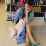Somaline Ang Instagram – Fur babies add a lil happiness to my life 🐶🥹 
@smoothieandsundae 

Style by @samonggg 
Makeup by @shaunleelee