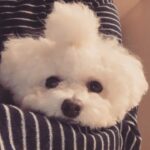 Son Ga-in Instagram – 🖤🖤🖤🖤🖤❤️❤️❤️❤️❤️