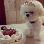 Son Ga-in Instagram -