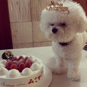 Son Ga-in Instagram - 