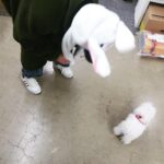 Son Ga-in Instagram - 나랑 놀아줘!