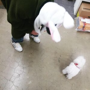 Son Ga-in Instagram - 나랑 놀아줘!