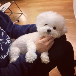 Son Ga-in Instagram - 나랑 닮았쒀! 🙈