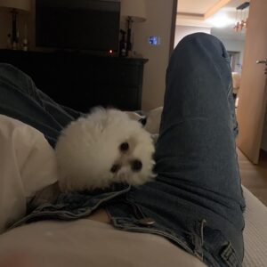 Son Ga-in Instagram - 🙈
